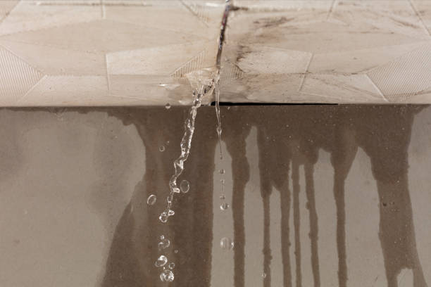 Professional Water Damage Restoration technician working in Scranton, SC